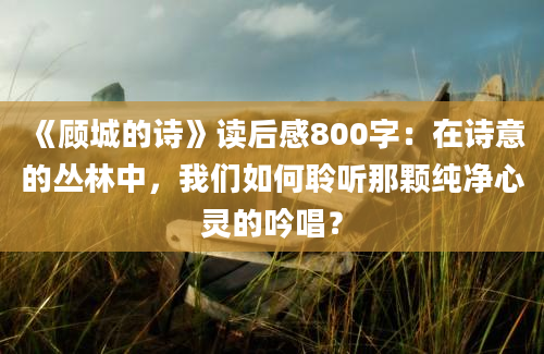 《顾城的诗》读后感800字：在诗意的丛林中，我们如何聆听那颗纯净心灵的吟唱？