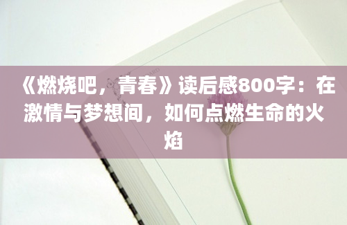 《燃烧吧，青春》读后感800字：在激情与梦想间，如何点燃生命的火焰