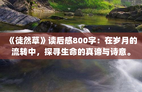 《徒然草》读后感800字：在岁月的流转中，探寻生命的真谛与诗意。