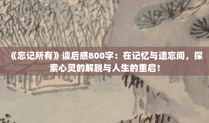 《忘记所有》读后感800字：在记忆与遗忘间，探索心灵的解脱与人生的重启！