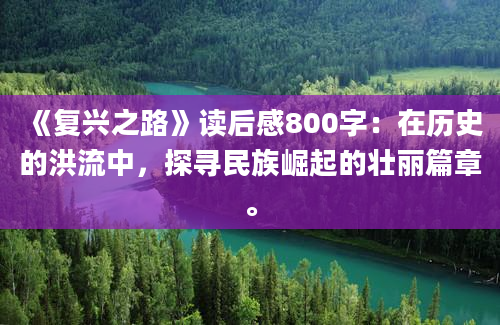 《复兴之路》读后感800字：在历史的洪流中，探寻民族崛起的壮丽篇章。