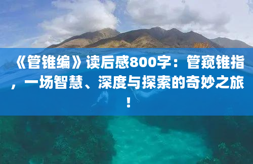 《管锥编》读后感800字：管窥锥指，一场智慧、深度与探索的奇妙之旅！