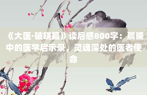 《大医·破晓篇》读后感800字：晨曦中的医学启示录，灵魂深处的医者使命