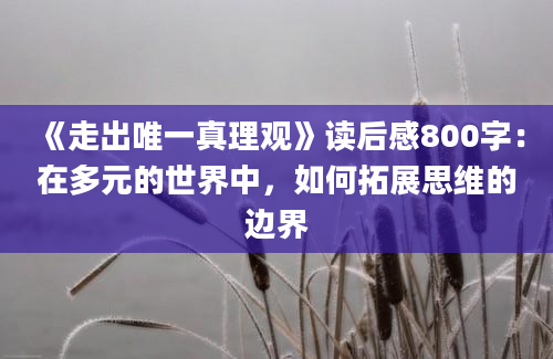 《走出唯一真理观》读后感800字：在多元的世界中，如何拓展思维的边界