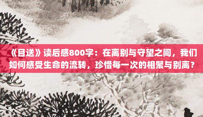 《目送》读后感800字：在离别与守望之间，我们如何感受生命的流转，珍惜每一次的相聚与别离？