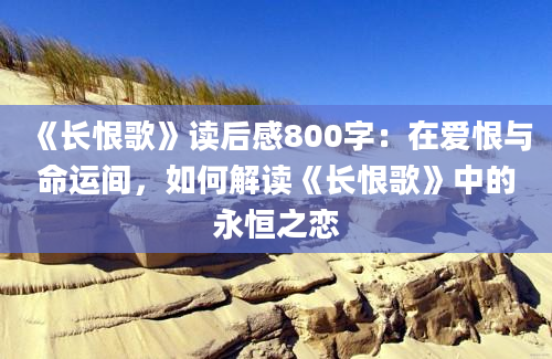 《长恨歌》读后感800字：在爱恨与命运间，如何解读《长恨歌》中的永恒之恋