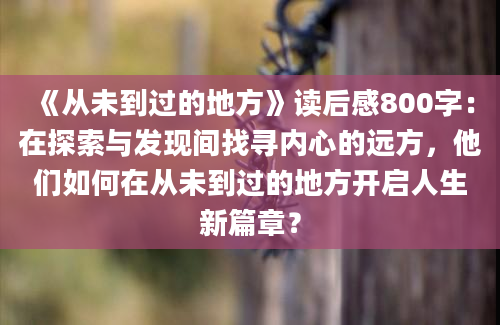 《从未到过的地方》读后感800字：在探索与发现间找寻内心的远方，他们如何在从未到过的地方开启人生新篇章？