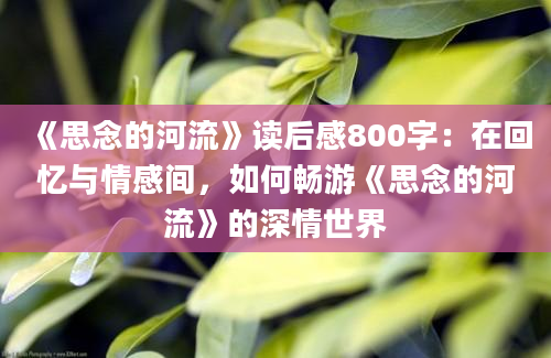 《思念的河流》读后感800字：在回忆与情感间，如何畅游《思念的河流》的深情世界