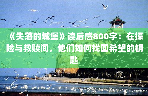 《失落的城堡》读后感800字：在探险与救赎间，他们如何找回希望的钥匙