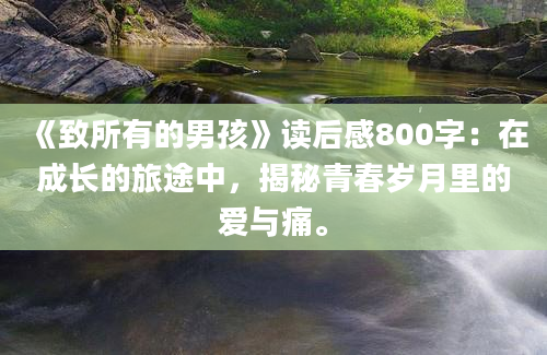 《致所有的男孩》读后感800字：在成长的旅途中，揭秘青春岁月里的爱与痛。