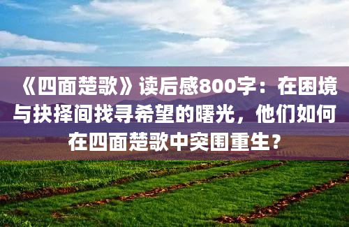 《四面楚歌》读后感800字：在困境与抉择间找寻希望的曙光，他们如何在四面楚歌中突围重生？