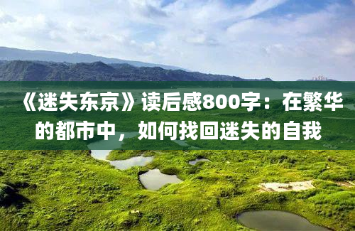 《迷失东京》读后感800字：在繁华的都市中，如何找回迷失的自我