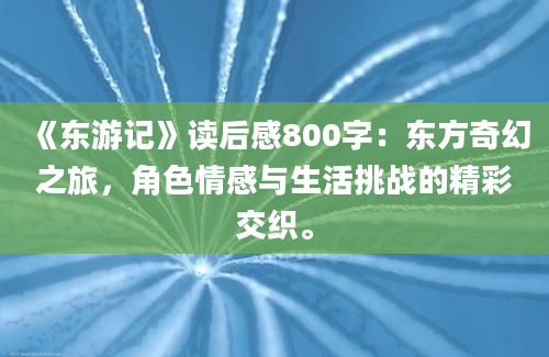 《东游记》读后感800字：东方奇幻之旅，角色情感与生活挑战的精彩交织。