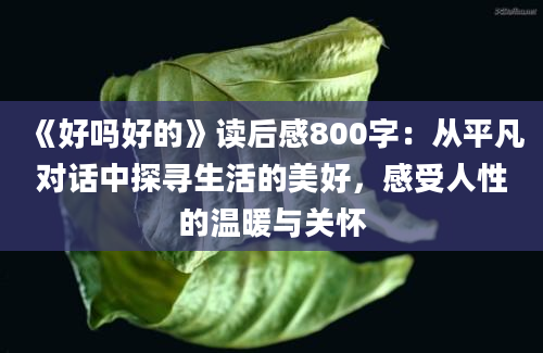 《好吗好的》读后感800字：从平凡对话中探寻生活的美好，感受人性的温暖与关怀