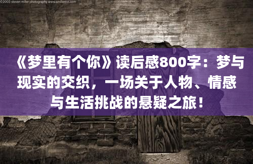 《梦里有个你》读后感800字：梦与现实的交织，一场关于人物、情感与生活挑战的悬疑之旅！