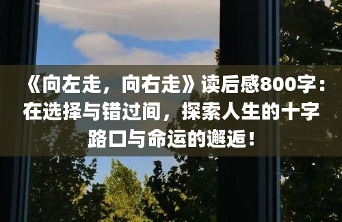 《向左走，向右走》读后感800字：在选择与错过间，探索人生的十字路口与命运的邂逅！