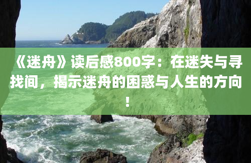 《迷舟》读后感800字：在迷失与寻找间，揭示迷舟的困惑与人生的方向！