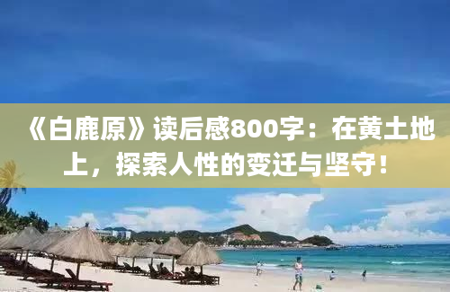 《白鹿原》读后感800字：在黄土地上，探索人性的变迁与坚守！