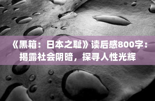 《黑箱：日本之耻》读后感800字：揭露社会阴暗，探寻人性光辉