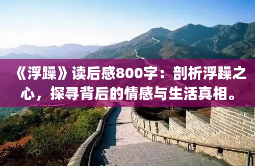 《浮躁》读后感800字：剖析浮躁之心，探寻背后的情感与生活真相。