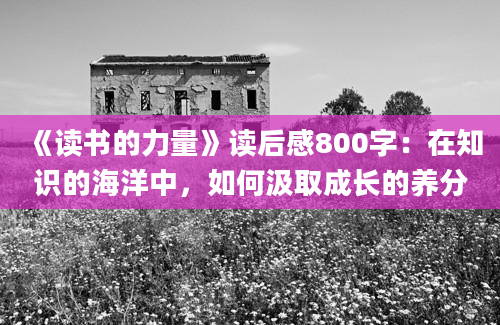 《读书的力量》读后感800字：在知识的海洋中，如何汲取成长的养分