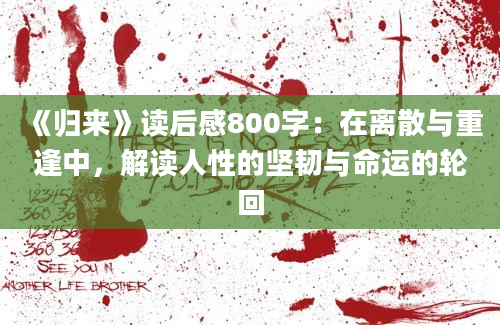 《归来》读后感800字：在离散与重逢中，解读人性的坚韧与命运的轮回