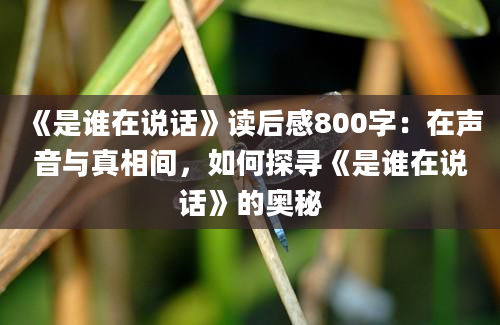 《是谁在说话》读后感800字：在声音与真相间，如何探寻《是谁在说话》的奥秘