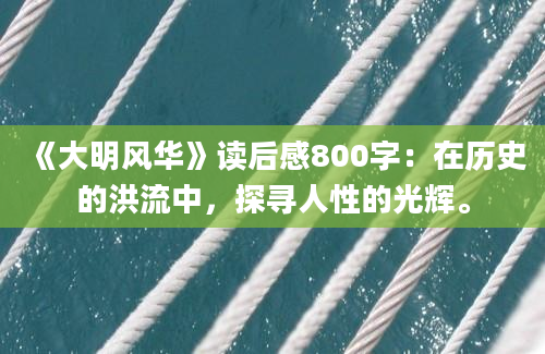 《大明风华》读后感800字：在历史的洪流中，探寻人性的光辉。