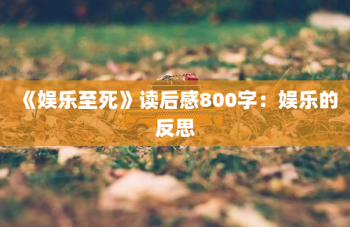 《娱乐至死》读后感800字：娱乐的反思