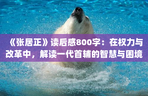 《张居正》读后感800字：在权力与改革中，解读一代首辅的智慧与困境