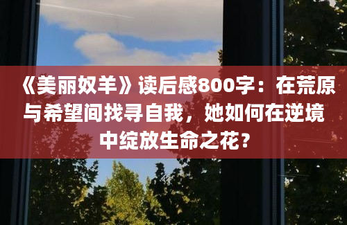 《美丽奴羊》读后感800字：在荒原与希望间找寻自我，她如何在逆境中绽放生命之花？