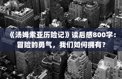 《汤姆索亚历险记》读后感800字：冒险的勇气，我们如何拥有？