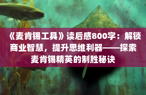 《麦肯锡工具》读后感800字：解锁商业智慧，提升思维利器——探索麦肯锡精英的制胜秘诀