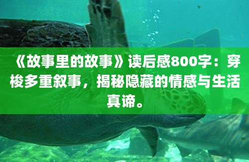 《故事里的故事》读后感800字：穿梭多重叙事，揭秘隐藏的情感与生活真谛。