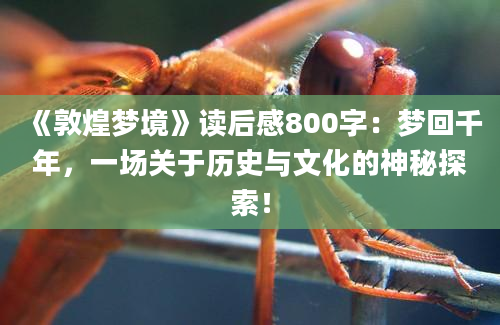 《敦煌梦境》读后感800字：梦回千年，一场关于历史与文化的神秘探索！