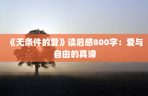 《无条件的爱》读后感800字：爱与自由的真谛