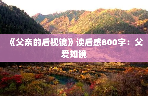 《父亲的后视镜》读后感800字：父爱如镜