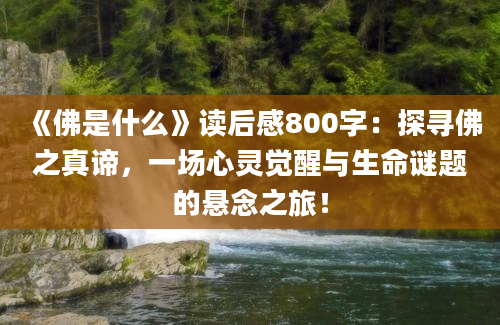 《佛是什么》读后感800字：探寻佛之真谛，一场心灵觉醒与生命谜题的悬念之旅！