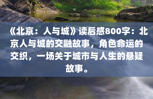 《北京：人与城》读后感800字：北京人与城的交融故事，角色命运的交织，一场关于城市与人生的悬疑故事。