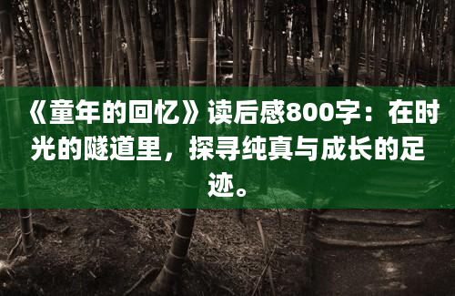 《童年的回忆》读后感800字：在时光的隧道里，探寻纯真与成长的足迹。