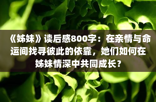 《姊妹》读后感800字：在亲情与命运间找寻彼此的依靠，她们如何在姊妹情深中共同成长？