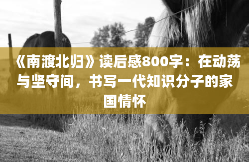 《南渡北归》读后感800字：在动荡与坚守间，书写一代知识分子的家国情怀