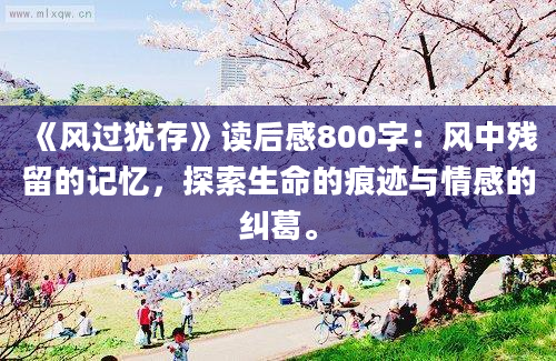 《风过犹存》读后感800字：风中残留的记忆，探索生命的痕迹与情感的纠葛。