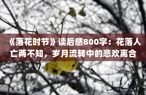 《落花时节》读后感800字：花落人亡两不知，岁月流转中的悲欢离合