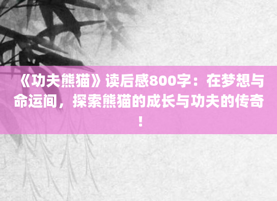 《功夫熊猫》读后感800字：在梦想与命运间，探索熊猫的成长与功夫的传奇！