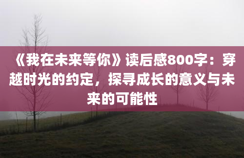 《我在未来等你》读后感800字：穿越时光的约定，探寻成长的意义与未来的可能性