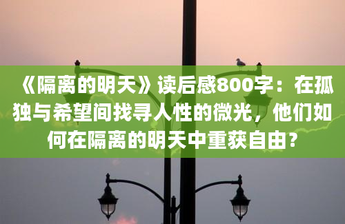 《隔离的明天》读后感800字：在孤独与希望间找寻人性的微光，他们如何在隔离的明天中重获自由？