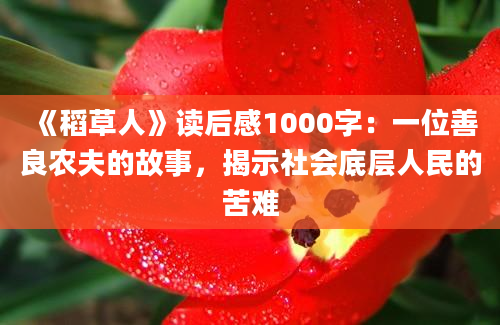 《稻草人》读后感1000字：一位善良农夫的故事，揭示社会底层人民的苦难