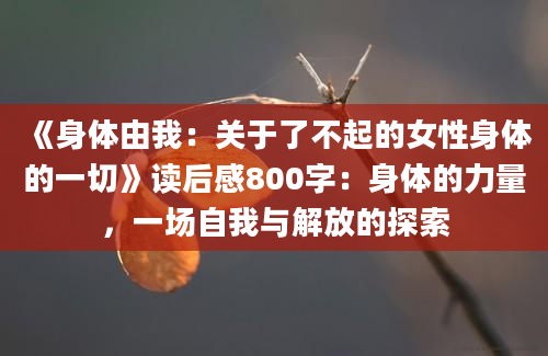 《身体由我：关于了不起的女性身体的一切》读后感800字：身体的力量，一场自我与解放的探索