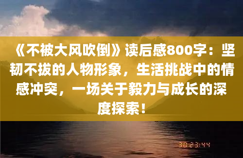 《不被大风吹倒》读后感800字：坚韧不拔的人物形象，生活挑战中的情感冲突，一场关于毅力与成长的深度探索！